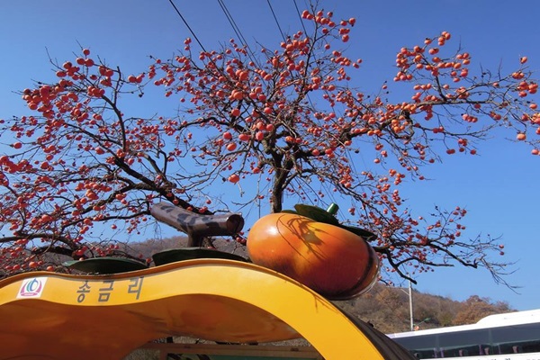 14800895_1192418774163285_1774064247_n