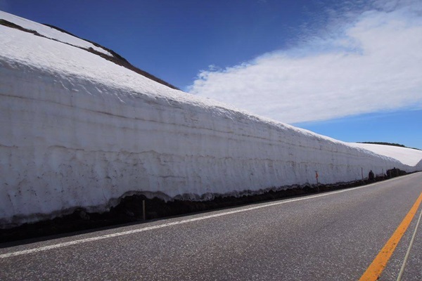 18009833_1430872963651197_1602341752_n