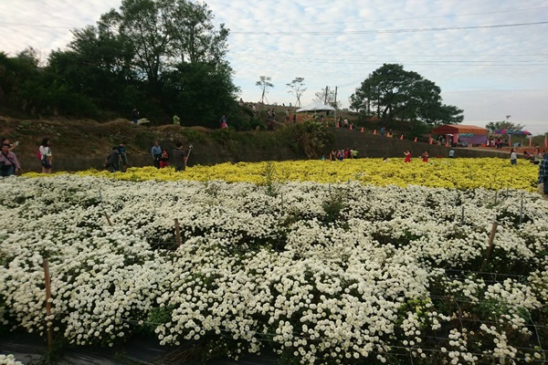 15168827_1212288758810185_5773351010091110802_o