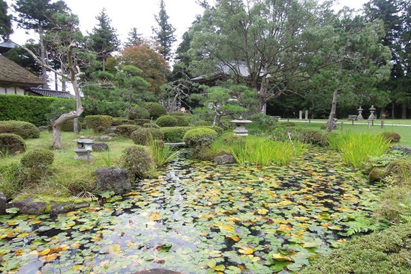 19264829_1503146803090479_252342440_n