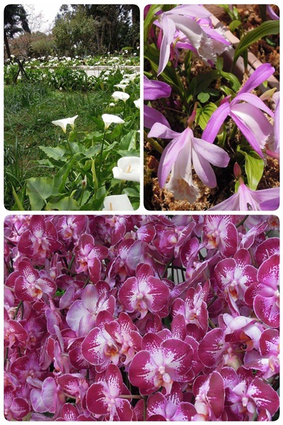 19243928_1493152924089867_700554445_o