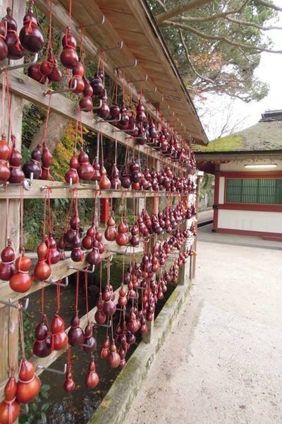 21905295_1601391566599335_1445145744_n