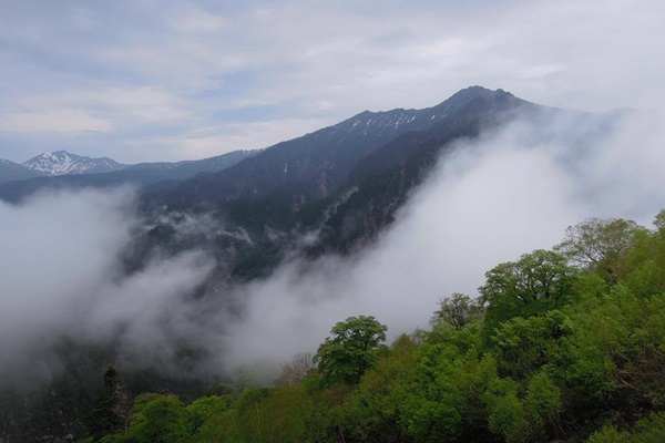 18051644_1430873443651149_1955044315_n