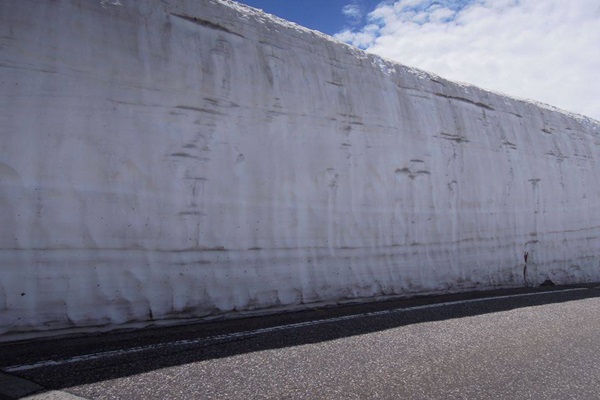 18072712_1430873816984445_1333124645_n