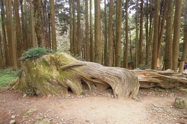 19357589_1493153517423141_1255537976_n