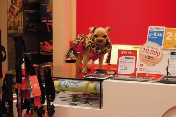 14804739_1192418697496626_118056673_n