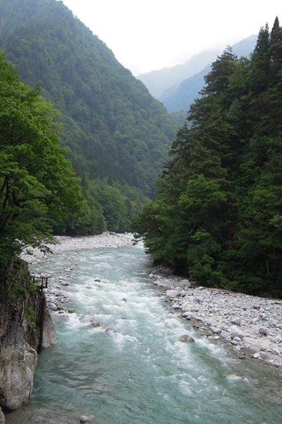 13617611_1083972435007920_901171897_n