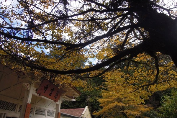 19357624_1493152857423207_1396211980_n