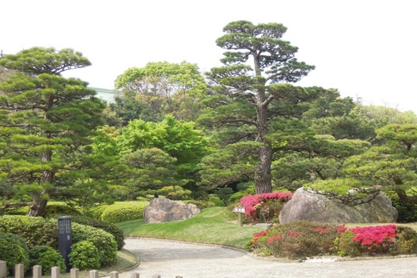 21903762_1601391016599390_1930877511_n