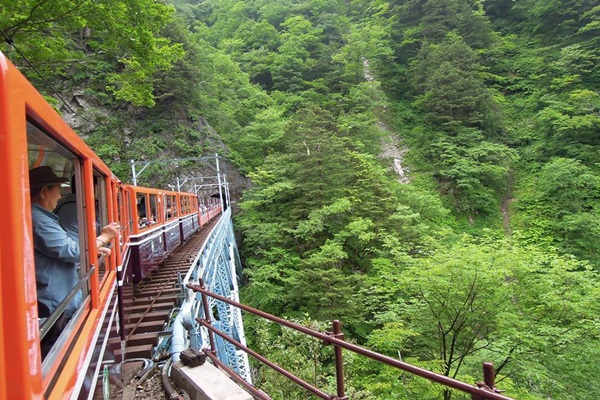 13607978_1083972555007908_863593593_n