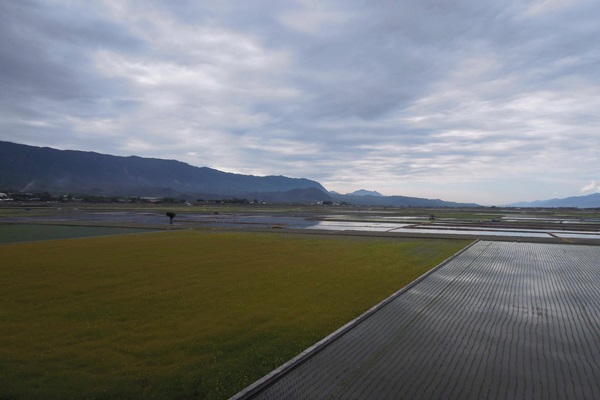 16879940_1354231001315394_464304305_o