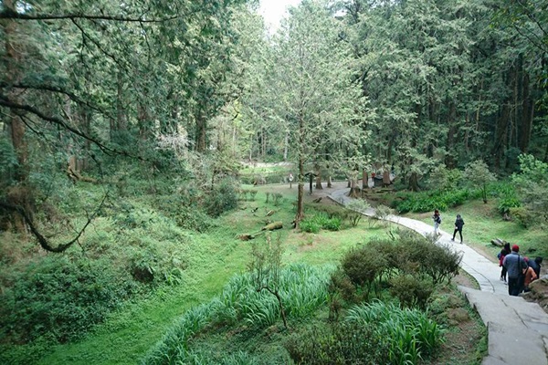 19357633_1493239520747874_2061488593_n