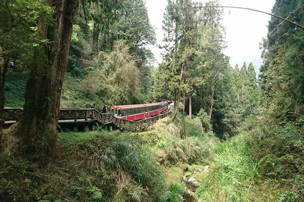 19265052_1493151937423299_1441613113_n