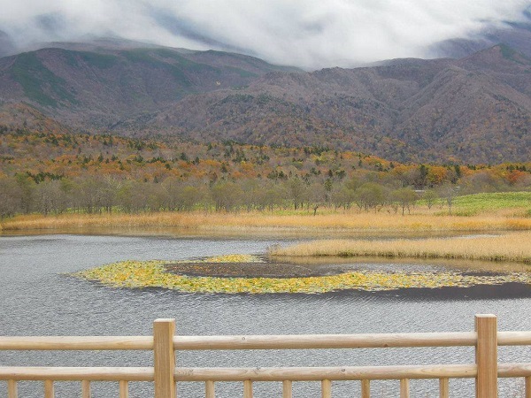 12233521_930511300354035_377219305_n