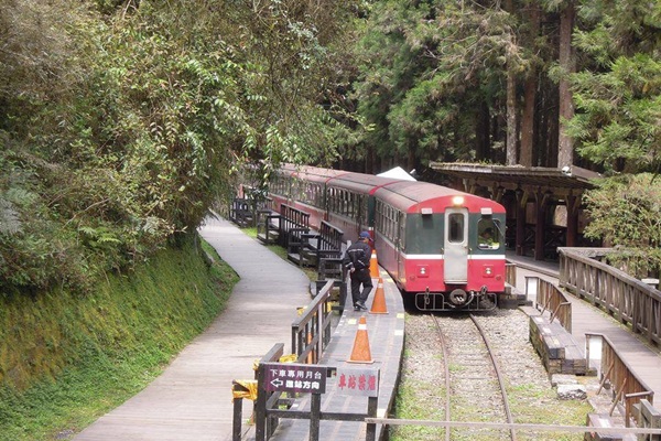 19265026_1493152064089953_963431138_n