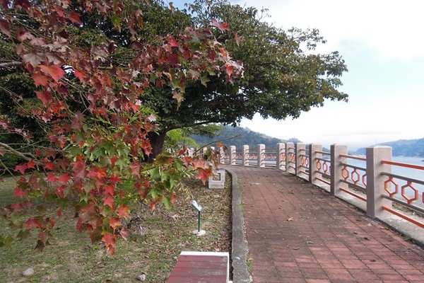 16508805_1343569385714889_2135393752820270369_n