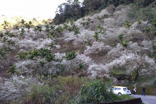 26943239_1749476295124194_307132814_n