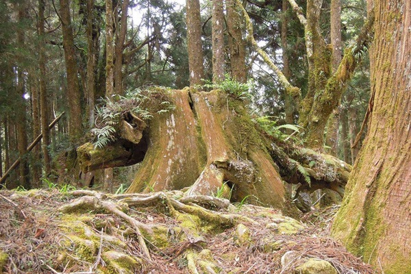 19251066_1493153380756488_1444758598_n