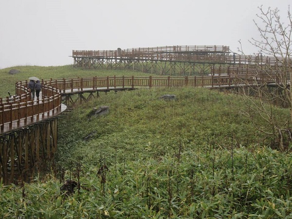 12231705_930511310354034_818036918_n