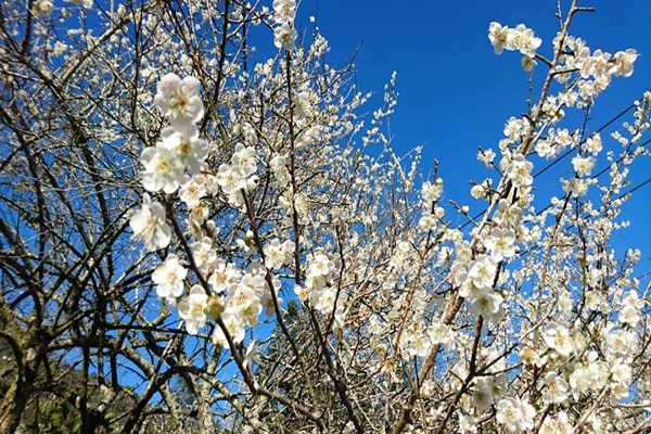 27152620_1749474065124417_1603404707_n