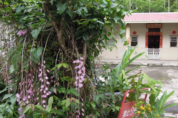 27018160_1749475961790894_1238494885_o