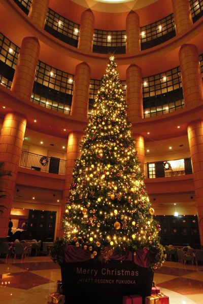 21919562_1601390079932817_973879985_n