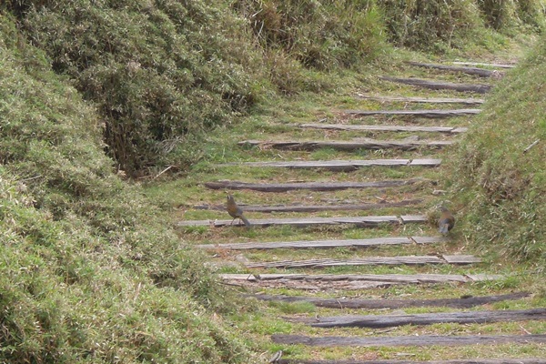 21222389_1576381585767000_359560909_o