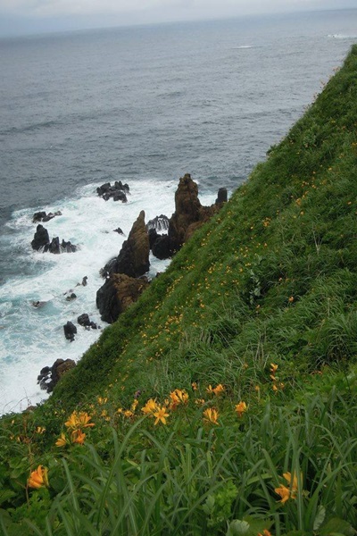 19489644_1503145829757243_820577598_n