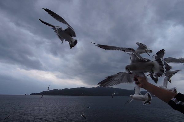 19512151_1503145686423924_472987538_n