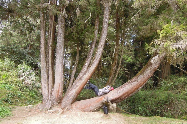 19244089_1493153317423161_1965344023_n