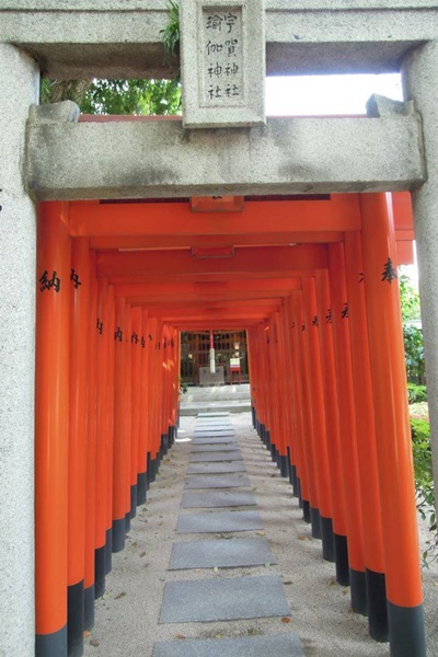 21919195_1601390836599408_1471330294_n