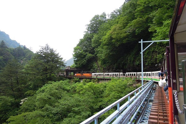 13595423_1083972155007948_1228635276_n