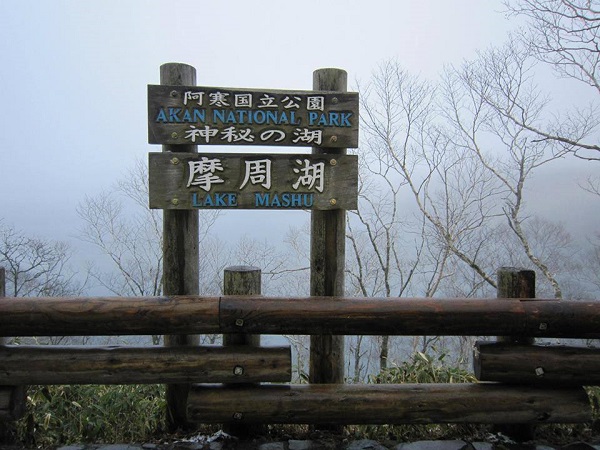 12231284_930511567020675_876022099_n