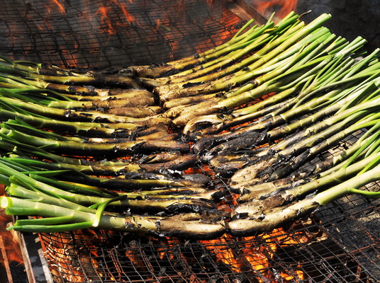 calçots_5_resize.jpg
