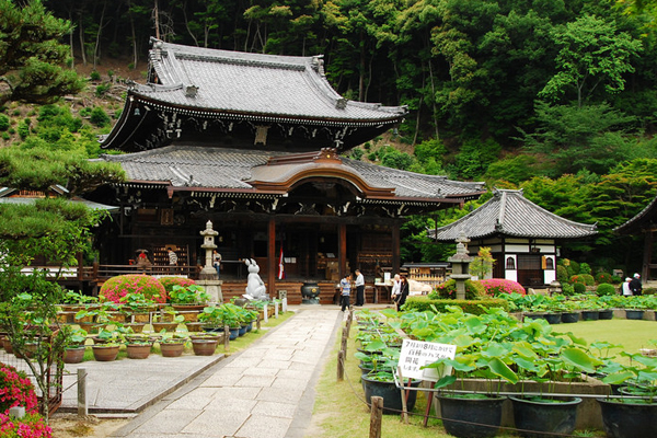 Temple.jpg