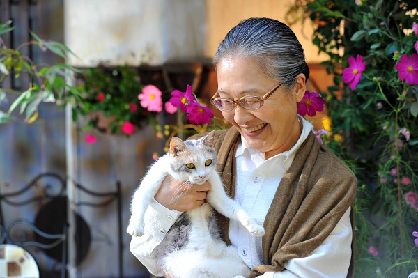 cat 03.jpg