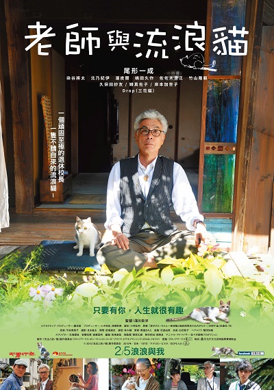 cat poster.jpg