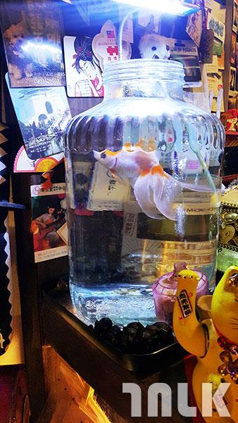 20170904_185347.jpg