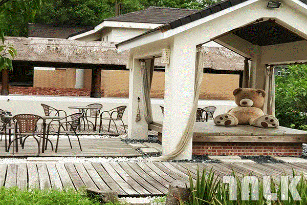 IMAG0582.gif