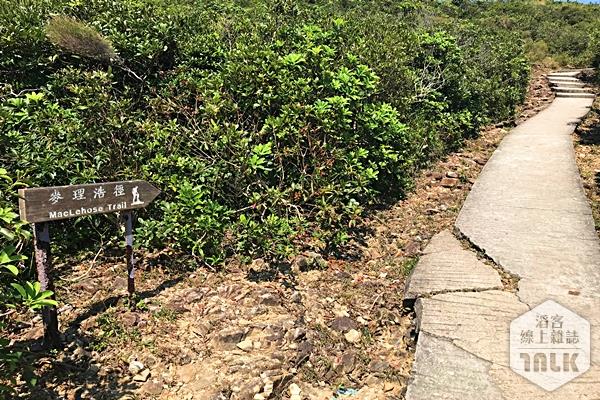麥理浩徑指示牌與步道