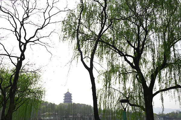 P1030039拷貝.jpg