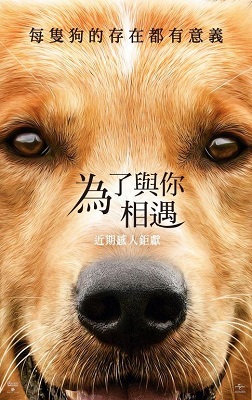 為了與你相遇