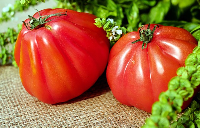 tomatoes-1586730_640.jpg