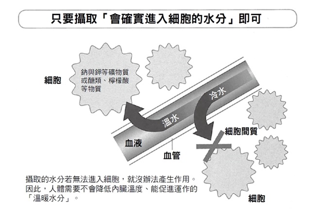 P17.jpg