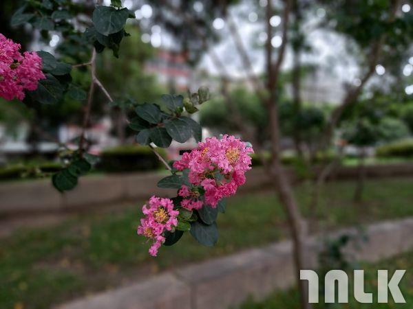 24 景深.jpg