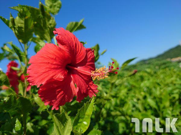 XPERIA 1 III -5.jpg